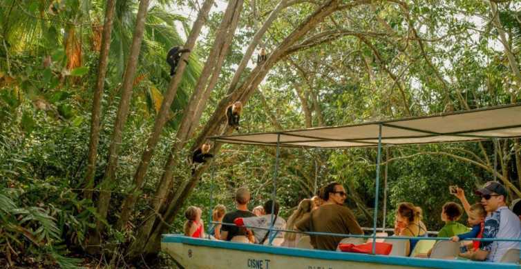 Manuel Antonio: Natural Mangrove Guided Boat Tour and Drinks