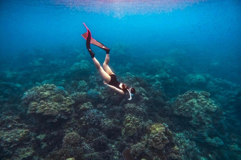 Khao Lak : Excursion de plongée en apnée dans les îles Surin avec le village Moken