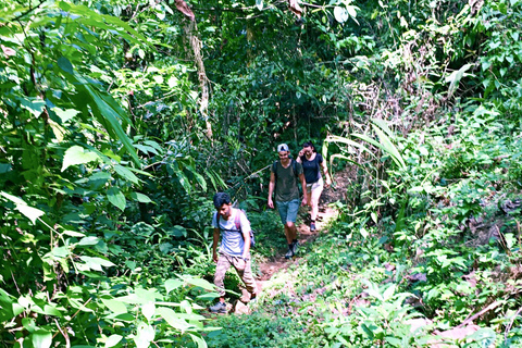 Da Chiang Mai: trekking di un giorno in alta montagnaChiang Mai: escursione di un giorno in alta montagna