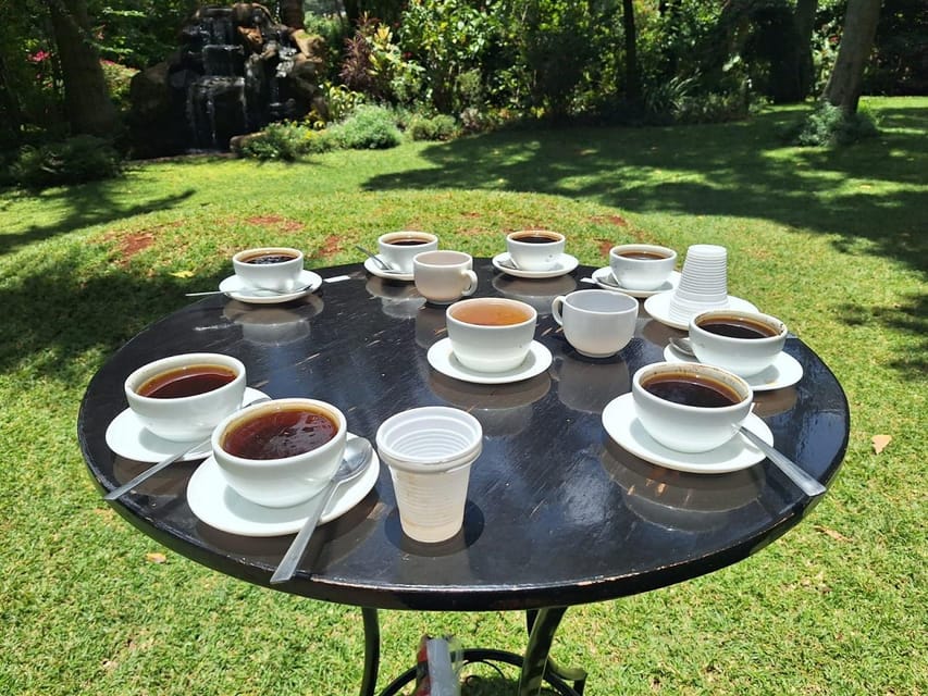 Nairobi: Fairview Coffee Estate Tour with Transfers | GetYourGuide