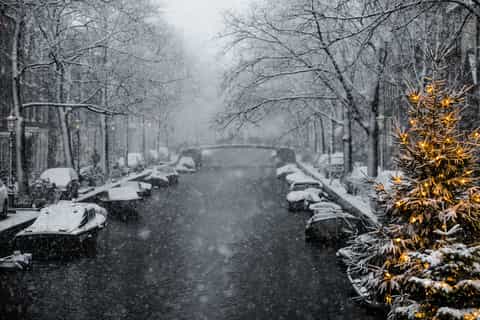 Amsterdam: Christmas Lights and Festive Delights