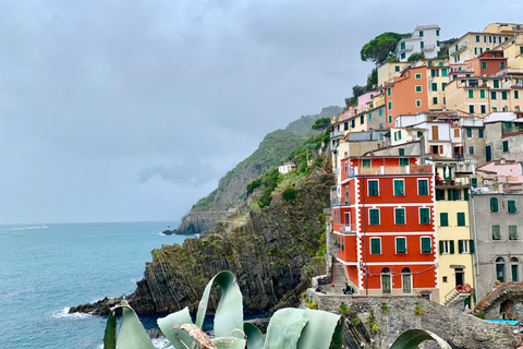 From Florence: Private Roundtrip Transfer to Cinque Terre