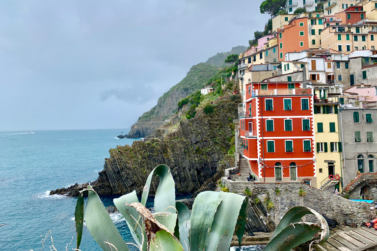 From Florence: Private Roundtrip Transfer to Cinque Terre