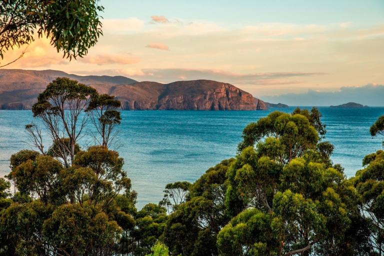 3D Tasmaanse hoogtepunten: Hobart, Port Arthur & Bruny Island