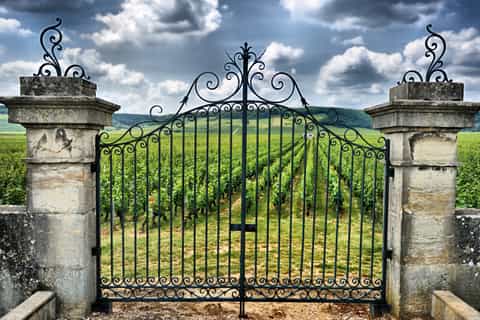 From Bordeaux: Full-Day Private Saint-Emilion Wine Tour