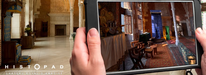Vallée de la Loire : Billet d'entrée pour le Château Royal d'Amboise
