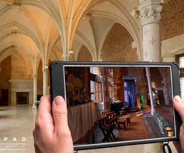 Vallée de la Loire : Billet d'entrée pour le Château Royal d'Amboise