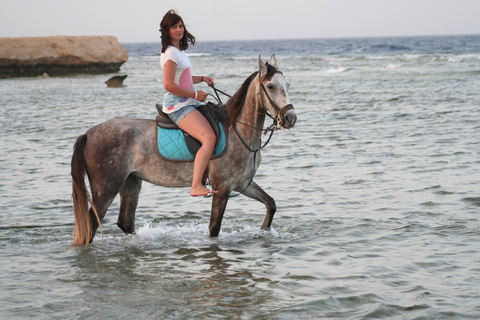 Hurghada: Tour a cavallo nel mare e nel deserto, osservazione delle stelle, cena e spettacoloGruppo privato: giro a cavallo di 1 ora