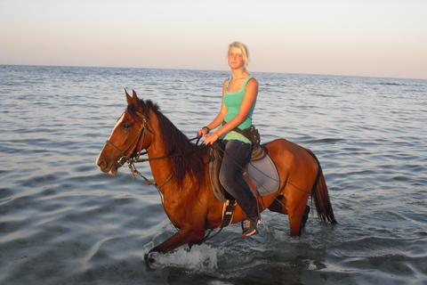 Hurghada: Excursión a caballo por el mar y el desierto, observación de estrellas, cena y espectáculoHurghada: Paseo a caballo de 2 horas sin parada para nadar