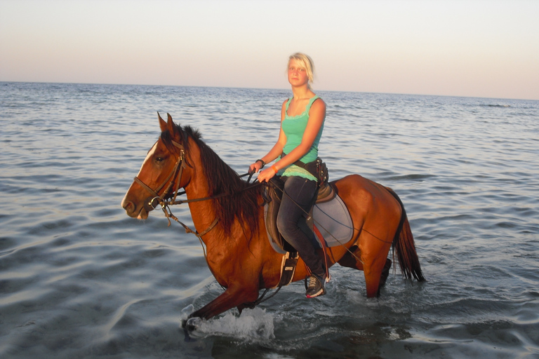 Hurghada: Tour a cavallo nel mare e nel deserto, osservazione delle stelle, cena e spettacoloGruppo privato: giro a cavallo di 1 ora