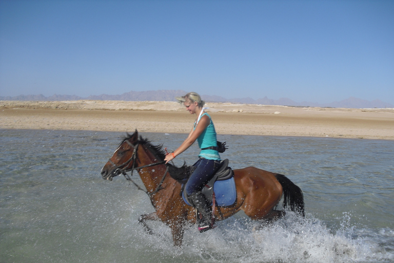 Hurghada: Excursión a caballo por el mar y el desierto, observación de estrellas, cena y espectáculoHurghada: Paseo a caballo de 2 horas sin parada para nadar