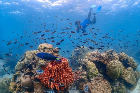 Van ฺBKK: Nemo Island-ervaring + lunch in restaurant aan zeeOphaalservice vanuit hotels in Bangkok