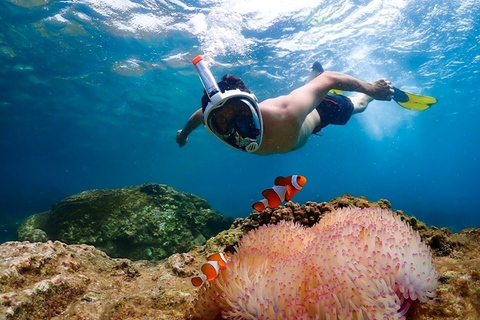 Bangkok: Nemo Island Dagsutflykt till Nemo Island med drönarfoton och lunchNemo-ön &amp; Big Buddha i Pattaya - upphämtning i Bangkok