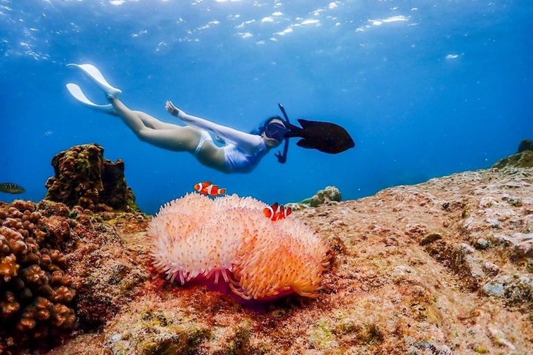 Van ฺBKK: Nemo Island-ervaring + lunch in restaurant aan zeeOphaalservice vanuit hotels in Bangkok