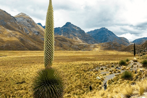 Cusco: Humantay Lagoon with Breakfast and Buffet Lunch