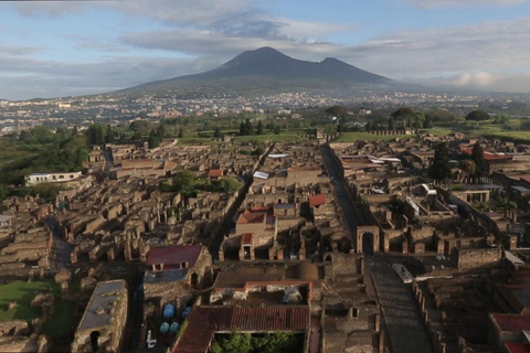 Napoli: Pompei ed Ercolano con biglietto e degustazione di viniTour di gruppo condiviso