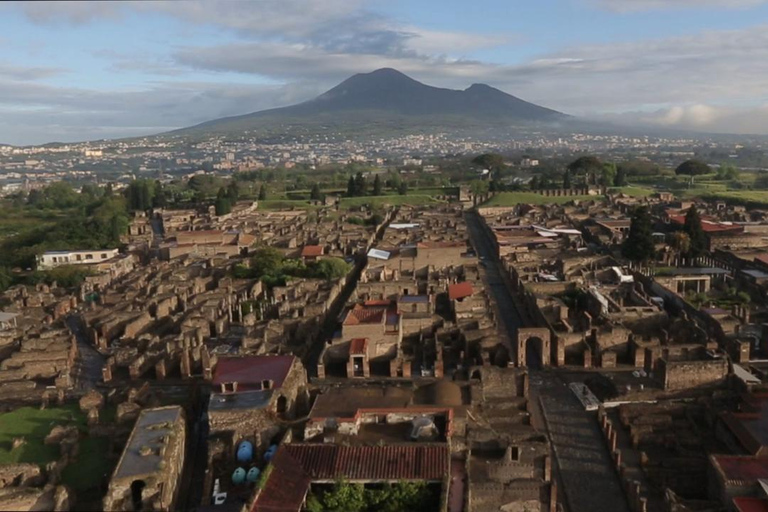 Naples: Pompeii &amp; Herculaneum with Tickets and Wine TastingShared Group Tour