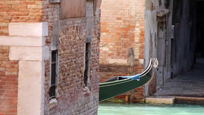 beauties in venice tour