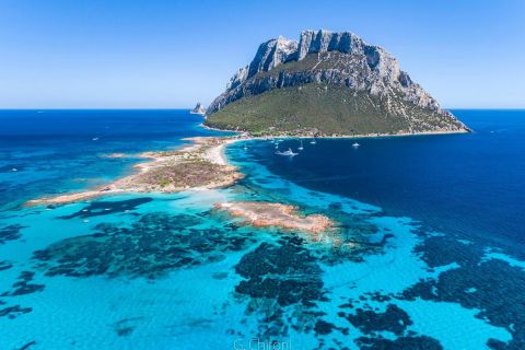 Sardegna: tour in barca all'isola di Tavolara con snorkeling