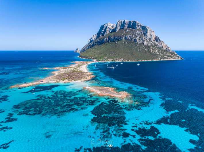 Sardegna: Tour di Tavolara in barca con snorkeling