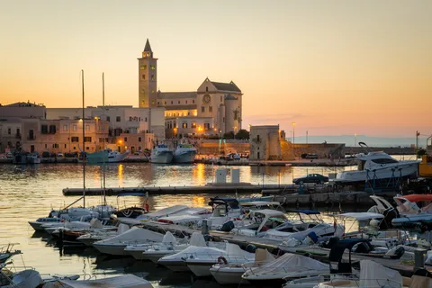 Trani: Private Guided City Tour