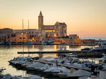 Trani: Private Guided City Tour
