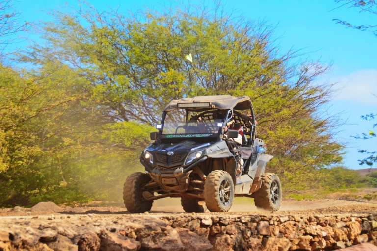 Sal: 4-Hour 4WD SSV Buggy Island Adventure 1 Buggy per Person
