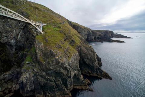 From Cork: Guided Full-Day West Cork to Mizen Head Tour