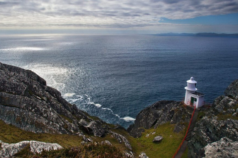 From Cork: Guided Full-Day West Cork to Mizen Head Tour
