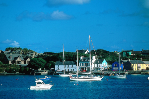 From Cork: Guided Full-Day West Cork to Mizen Head Tour