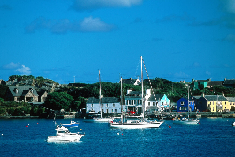 From Cork: Guided Full-Day West Cork to Mizen Head Tour