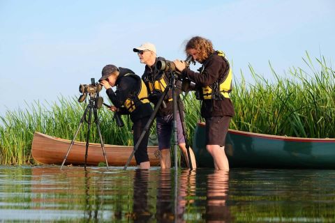 Excursion guidée en canoë pour l'observation des oiseaux à Cape Vente Lituanie