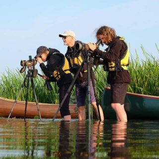Passeio guiado de canoa para observação de pássaros no Cabo Vente, Lituânia