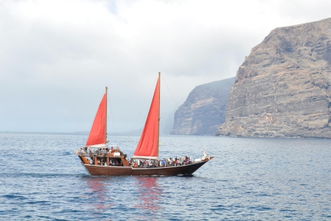 Tenerife: walvis- en dolfijnentour van 5 uurTour met busvervoer vanuit het noorden van het eiland