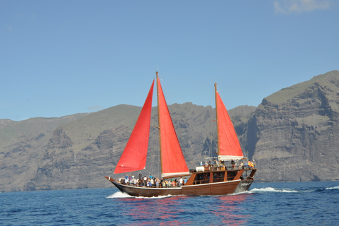 Tenerife: tour de 5 horas con ballenas y delfinesTour con traslados en autobús desde el norte de la isla