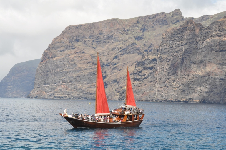 Tenerife: walvis- en dolfijnentour van 5 uurTour met busvervoer vanuit het zuiden van het eiland