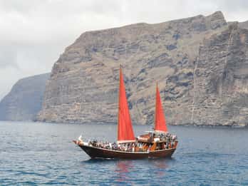 Adeje: Excursión de avistamiento de cetáceos a Los Gigantes con almuerzo y baño