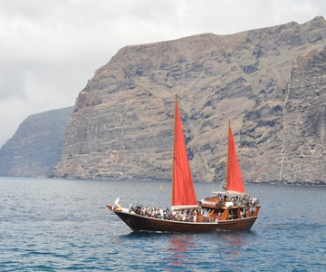 Adeje: Whale Watching Tour to Los Gigantes with lunch & swim