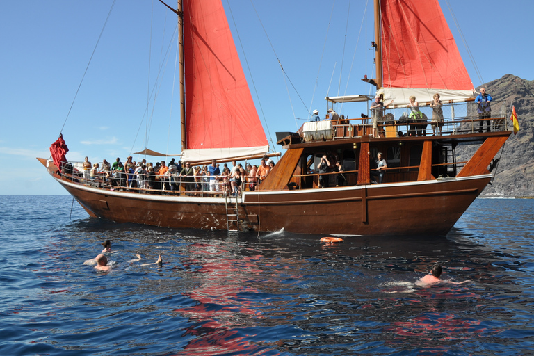 Tenerife: tour di 5 ore con balene e delfiniTour con punto di incontro