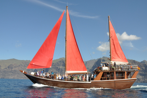 Tenerife: 5-Hour Whales and Dolphins Tour Tour with Meeting Point