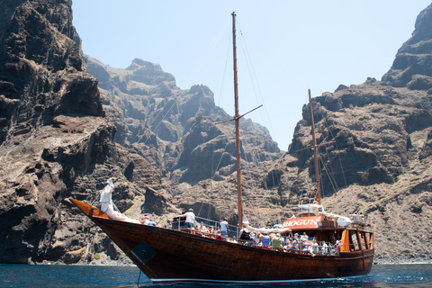 Tenerife: Passeio de 5 horas com baleias e golfinhosPasseio com Traslado de Ônibus do Sul da Ilha