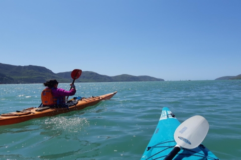 Christchurch : excursion en kayak de merVisite privée