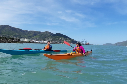 Christchurch: excursión en kayak de marTour privado
