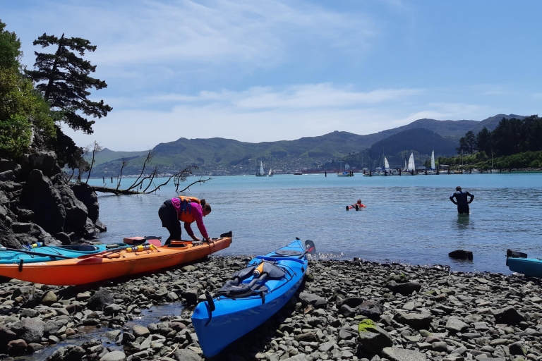 Christchurch: zeekajakexcursiePrivérondleiding