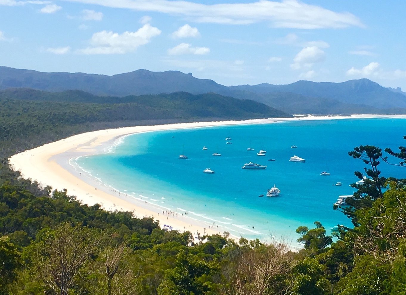 Airlie Beach: Whitehaven Beach BBQ & Hill Inlet Adventure