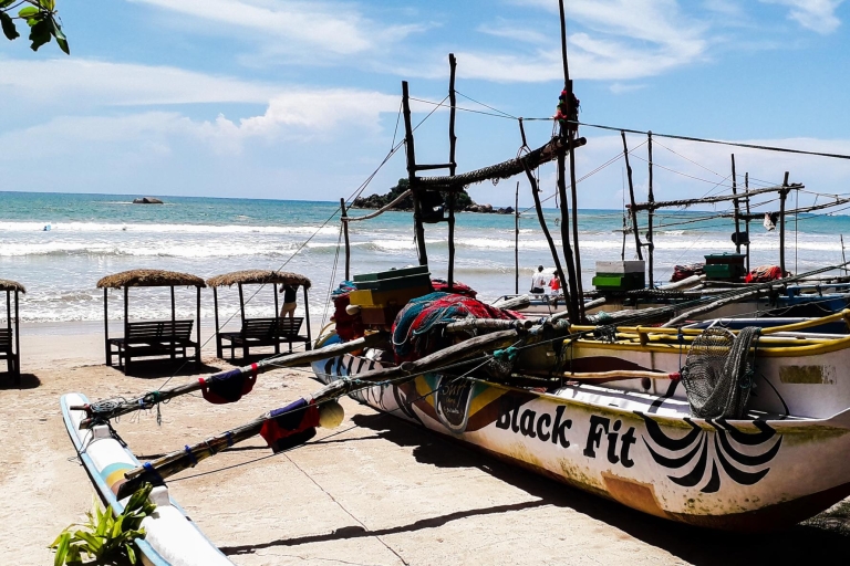 Colombo / Negombo: excursion d'une journée à Galle, Bentota et Hikkaduwa