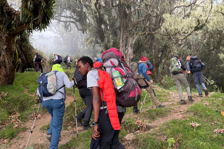 From Arusha: Mount Meru 4-Day Trek