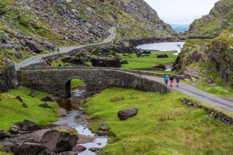 Goed gevoel Koken Riskant From Cork: 9-Hour Guided Ring of Kerry and Killarney Tour | GetYourGuide