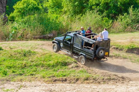 Safari al Parque Nacional de Minneriya desde Kandy