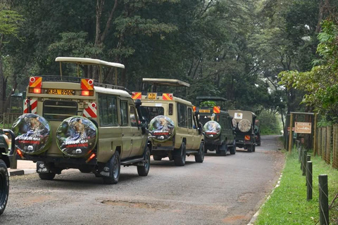 Nairobi: passeio de meio dia no Parque NacionalNairobi: tour privado de meio dia no Parque Nacional